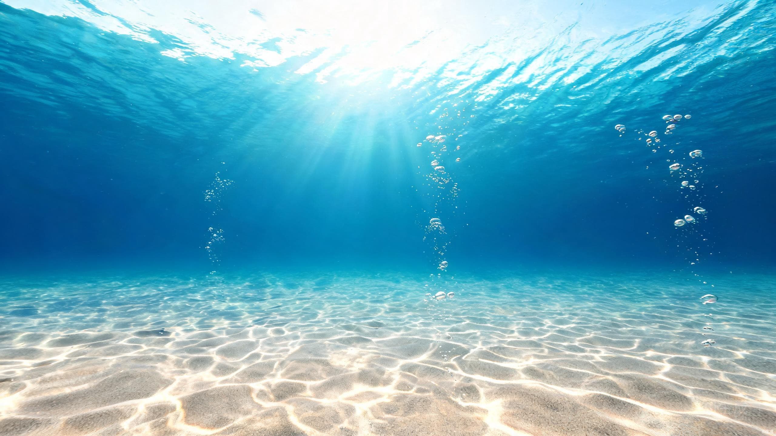 Ocean & Aquatic